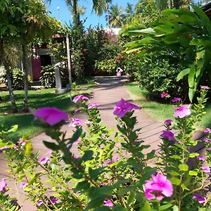 Hotel Casa Robinson